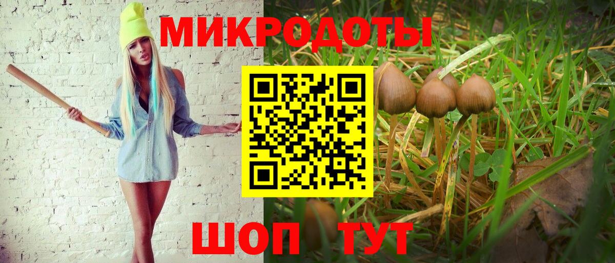 Галлюциногенные грибы мухоморы  Вход с VPN  Сердобск  Псилоцибиновые грибы Cubensis 